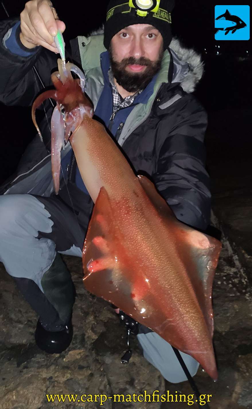 big squid nv eging carpmatchfishing