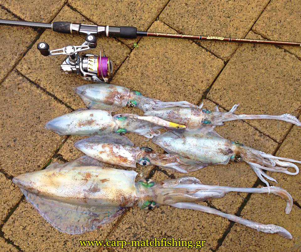 eging squids rod reel white jig actions carpmatchfishing